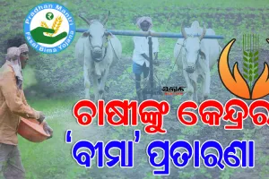 ଶୋଷଣର ମାଧ୍ୟମ ପାଲଟିଛି ପ୍ରଧାନମନ୍ତ୍ରୀ ଫସଲ ବୀମା : ପଶ୍ଚିମ ଓଡ଼ିଶାର ଚାଷୀ ଏବେ ବି ପାଇ ନାହାନ୍ତି ୫୦୦ କୋଟି ବୀମା ରାଶି