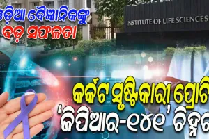 କର୍କଟ ନିରାକରଣ କ୍ଷେତ୍ରରେ ଓଡ଼ିଆ ବୈଜ୍ଞାନିକଙ୍କୁ ବଡ଼ ସଫଳତା; ଚିହ୍ନଟ ହେଲା କର୍କଟ ସୃଷ୍ଟିକାରୀ ପ୍ରୋଟିନ ‘ଜିପିଆର-୧୪୧’