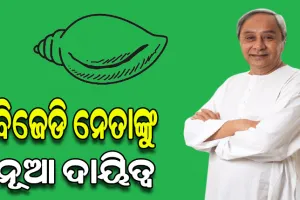 ନୂଆ ବର୍ଷ ପୂର୍ବରୁ ବିଜେଡି ନେତାଙ୍କୁ ନୂଆ ଦାୟିତ୍ୱ