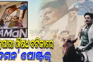 ଯୁବ ଚିତ୍ରଶିଳ୍ପୀଙ୍କ ନିଆରା ପ୍ରୟାସ; ଏକ୍ସପାରୀ ଔଷଧ ବଟିକାରେ ‘ଦମନ’ ପୋଷ୍ଟର୍‍ ତିଆରି କରି ଚର୍ଚ୍ଚାରେ ନୟାଗଡ଼ର ରାଜେଶ