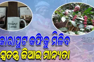 କୋରାପୁଟ କଫିକୁ ସ୍ୱତନ୍ତ୍ର ଜିଆଇ ମାନ୍ୟତା ପାଇଁ ପ୍ରୟାସ ଆରମ୍ଭ