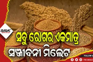 ନିୟମିତ ମିଲେଟ ଜାତୀୟ ଖାଦ୍ୟ ଖାଇଲେ ବଡ଼ ବଡ଼ ରୋଗ ବି ଶରୀରର ପାଖ ମାଡ଼ି ନ ଥାଏ- ଡ. ବଲି