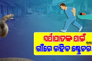 ସାପ କାମୁଡ଼ା ଜନିତ ମୃତ୍ୟୁ ସଂଖ୍ୟା କମାଇବା ପାଇଁ ରାଜ୍ୟ ସରକାରଙ୍କ ସ୍ୱତନ୍ତ୍ର ରଣନୀତି