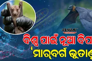 ବ୍ୟାପୁଛି କରୋନାଠୁ ଅଧିକ ବିପଜ୍ଜନକ ମାର୍‌ବର୍ଗ ଭୂତାଣୁ, ନେଲାଣି ୯ ଜୀବନ