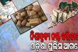 ମାଲ୍‌‌ଖାନାରେ ପଡ଼ି ରହିଥିବା ଗଞ୍ଜେଇ ବସ୍ତାକୁ ନଷ୍ଟ କରିବାରେ ଓଡ଼ିଶା ପୁଲିସ ଆଗରେ, ମୋଟ ୯୫୦ କୁଇଣ୍ଟାଲ ଗଞ୍ଜେଇ ନଷ୍ଟ