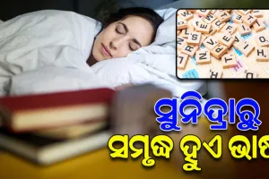 ଦୁଇ ରାତିର ସମ୍ପୂର୍ଣ୍ଣ ନିଦ ଦ୍ୱାରା ଆମ ଭାଷାରେ ଯୋଡ଼ି ହେଉଛି ଆଉ ଏକ ନୂତନ ଶବ୍ଦ: ୟୁନିଭର୍ସିଟି ଅଫ୍‌ ୟାର୍କ