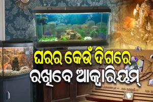 ଘରର ଏହି ଦିଗରେ ରଖନ୍ତୁ ଆକ୍ବାରିୟମ୍‌, ଐଶ୍ୱର୍ଯ୍ୟ ବୃଦ୍ଧି ହେବା ସହ ବଢ଼ିବ ଘରର ସୌନ୍ଦର୍ଯ୍ୟ…