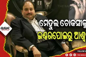 ଇଣ୍ଟରପୋଲର ୱାଣ୍ଟେଡ ତାଲିକାରୁ ହଟିଲା ମେହୁଲ ଚୋକ୍‌ସୀଙ୍କ ନାମ