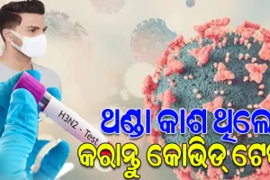ଚିନ୍ତା ବଢାଉଛି H3N2 ଭାଇରସ; ଥଣ୍ଡା କାଶ ଥିଲେ କୋଭିଡ଼ ଟେଷ୍ଟ କରିବାକୁ ଜନସ୍ୱାସ୍ଥ୍ୟ ବିଭାଗର ପରାମର୍ଶ