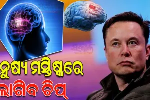 ମସ୍କଙ୍କ ନୂଆ ପ୍ରୟାସ: ଖୁବ୍‌ଶୀଘ୍ର ମନୁଷ୍ୟ ମସ୍ତିଷ୍କରେ ଲାଗିବ ଚିପ୍‌, ଦେଖିପାରିବେ ଦୃଷ୍ଟିହୀନ ବ୍ୟକ୍ତି