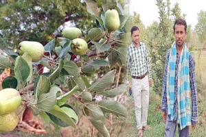 ୟୁଟ୍ୟୁବ୍‌ ଦେଖାଇଲା ରାସ୍ତା; କଳାହାଣ୍ଡିରେ ହିମାଚଳ ସେଓ