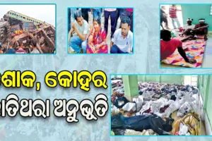 ବାହାନଗା ବେଦନା: ‘ଭୁଲ୍‌ ପାଇଁ ବଞ୍ଚିଗଲା ଜୀବନ’, ମା’ର ଶବ ଦେଖି ପୁଅ ହତବାକ୍‌ …..