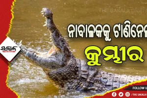 ନଦୀରେ ଗାଧୋଉଥିବାବେଳେ ନାବାଳକକୁ ଟାଣିନେଲା କୁମ୍ଭୀର