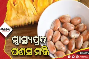 ସ୍ବାସ୍ଥ୍ୟ ପ୍ରତି ଲାଭଦାୟକ ପଣସ ମଞ୍ଜି, ରହିଛି ଅନେକ ପ୍ରକାର ପୋଷକତତ୍ତ୍ବ….