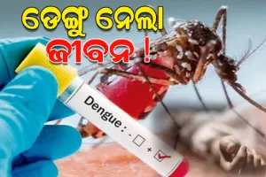 ରାଜଧାନୀରେ ଚଳିତବର୍ଷର ପ୍ରଥମ ଜୀବନ ନେଲା ଡେଙ୍ଗୁ ! ୭ ବର୍ଷ ବାଳିକାର ମୃତ୍ୟୁ ଅଭିଯୋଗ