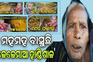 ହାର ମାନିଛି ବୟସ: ଚର୍ଚ୍ଚାରେ ୯୦ ବର୍ଷୀୟ ଜେଜେମାଆଙ୍କ ରୋଷେଇ….