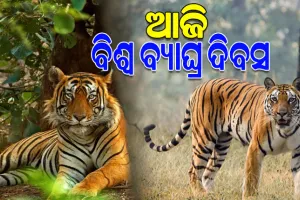ଆଜି ଅନ୍ତର୍ଜାତୀୟ ‘ବ୍ୟାଘ୍ର ଦିବସ’: ଜୈବ ବିବିଧତାର ସଂରକ୍ଷଣ ଓ ଜୀବଜଗତ ମଧ୍ୟରେ ସନ୍ତୁଳନ ରକ୍ଷା କରିବାରେ ବାଘମାନଙ୍କ ଭୂମିକା ବେଶ ଗୁରୁତ୍ଵପୂର୍ଣ୍ଣ