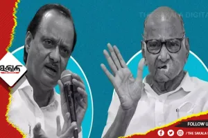 ମହାରାଷ୍ଟ୍ର ରାଜନୀତିରେ ବଡ଼ ହଲଚଲ୍: ବିଧାନସଭା ଅଧିବେଶନ ପୂର୍ବରୁ ଶରଦ ପାଓ୍ୱାରଙ୍କୁ ଭେଟିଲେ ଅଜିତ ପାଓ୍ୱାର