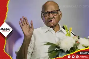 ପୂର୍ବରୁ ମଧ୍ୟ ଏପରି ଅନେକ ବିଦ୍ରୋହ ଦେଖିଛି, ପୁଣିଥରେ ଦଳକୁ ଛିଡ଼ା କରି ଦେଖାଇବି: ଶରଦ ପୱାର