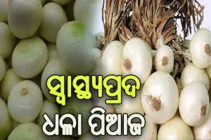 ଧଳା ପିଆଜ ଦୂର କରେ ବିଭିନ୍ନ ସ୍ବାସ୍ଥ୍ୟ ସମସ୍ୟା