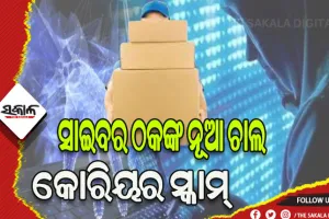 ପାର୍ସଲରେ ବେଆଇନ ସାମଗ୍ରୀ ଆସିଛି କହି ମହିଳାଙ୍କୁ ୮ ଲକ୍ଷ ଟଙ୍କାର ଚୂନ ଲଗାଇଲେ ସାଇବର ଠକ