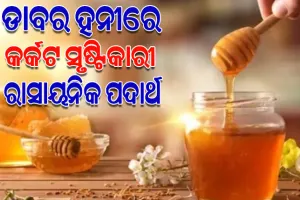 ଲ୍ୟାବ୍‌ ରିପୋର୍ଟରେ ବଡ଼ ଖୁଲାସା: ଡାବର ହନୀରେ ରହିଛି କର୍କଟ ସୃଷ୍ଟିକାରୀ ରାସାୟନିକ ପଦାର୍ଥ
