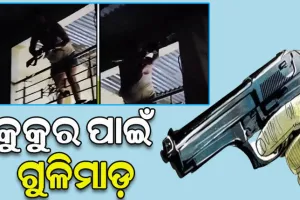 ପୋଷା କୁକୁର ପାଇଁ ଗୁଳିମାଡ଼: ୨ ମୃତ, ୬ ଆହତ