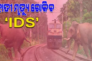 ରେଳ ଧକ୍କାରୁ ହାତୀଙ୍କୁ ସୁରକ୍ଷା ଦେବ ଆଇଡିଏସ୍‌‌, ଟ୍ରାକକୁ ଆସୁଥିବା ବଣୁଆ ହାତୀକୁ ଚିହ୍ନଟ କରି ଅଧିକାରୀଙ୍କୁ କରାଇବ ସତର୍କ