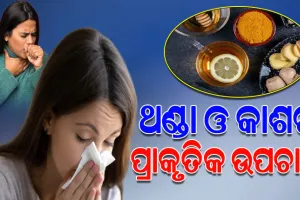 ଜାଣନ୍ତୁ ଥଣ୍ଡା ଓ କାଶର କ’ଣ ରହିଛି ପ୍ରାକୃତିକ ଉପଚାର…