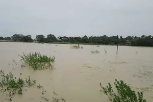 ଭଦ୍ରକରେ ବନ୍ୟା ସ୍ଥିତି ସଙ୍ଗିନ: ବିପଦ ସଙ୍କେତ ଉପରେ ବୈତରଣୀ ଓ ସାଳନ୍ଦୀ, ଉଦ୍ଧାର କାର୍ଯ୍ୟରେ ଏନଡିଆରଏଫ