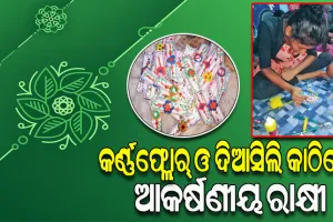 କର୍ଣ୍ଣଫ୍ଲୋର୍‌ ଓ ଦିଆସିଲି କାଠିରେ ରାକ୍ଷୀ ପ୍ରସ୍ତୁତ କରି ପରିବେଶ ସୁରକ୍ଷା ପାଇଁ ରୋଲ୍‌‌ମଡେଲ୍‌ ସାଜିଛନ୍ତି ପଥପ୍ରାନ୍ତ ଶିଶୁ