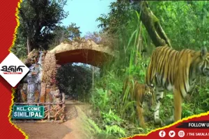 ଶିମିଳିପାଳ ସୁରକ୍ଷା ପାଇଁ ଯୁଗ୍ମ ଟାସ୍କ ଫୋର୍ସ ଗଠିତ