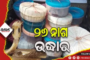 ସାପ ବିଷ ରାକେଟ୍‌ର ପର୍ଦ୍ଦାଫାସ୍‌: ୨୬ ନାଗ ସାପ ଉଦ୍ଧାର, ୩ ଗିରଫ