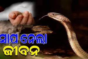 ଘରେ ଶୋଇଥିବାବେଳେ କାମୁଡ଼ିଲା ବିଷାକ୍ତ ସାପ, ଚାଲିଗଲା ଦୁଇ ଜଣଙ୍କ ଜୀବନ