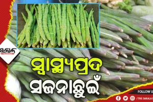 ସ୍ବାସ୍ଥ୍ୟ ପାଇଁ ଲାଭଦାୟକ ସଜନାଛୁଇଁ…..