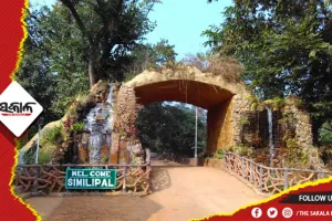 ଶିମିଳିପାଳ ଅଞ୍ଚଳରୁ କଲରାପତରିଆ ବାଘଛାଲ ଜବତ, ୨ଅଟକ