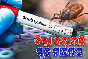 ସୁନ୍ଦରଗଡ଼ରେ ଆଉ ୬ ନୂଆ ସ୍କ୍ରବ ଟାଇଫସ ରୋଗୀ ଚିହ୍ନଟ, ଆକ୍ରାନ୍ତଙ୍କ ସଂଖ୍ୟା ୩୬୧କୁ ବୃଦ୍ଧି