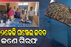 ପିକପ୍ ଭ୍ୟାନରେ ସିକ୍ରେଟ ଚ୍ୟାମ୍ବର କରି ହେଉଥିଲା ଗଞ୍ଜେଇ ଚାଲାଣ; ମାଡିବସିଥିଲା ଅବକାରୀ ବିଭାଗ, ଜଣେ ଗିରଫ