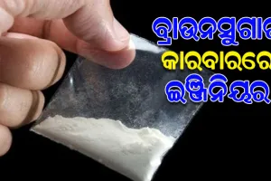ବ୍ରାଉନସୁଗାର ଡ଼ିଲବେଳେ ମାଡିବସିଲା ଖଣ୍ଡଗିରି ପୋଲିସ, ୨ ଗିରଫ