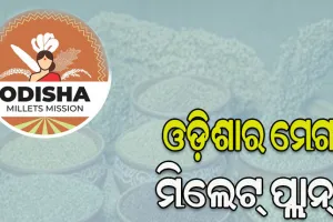 ଭାରତର ପ୍ରଥମ ରାଜ୍ୟ ଭାବେ ଓଡ଼ିଶାରେ ଆୟୋଜନ ହେବ ଦୁଇଦିନିଆ ଆନ୍ତର୍ଜାତିକ ମିଲେଟ୍‌ ସମ୍ମିଳନୀ