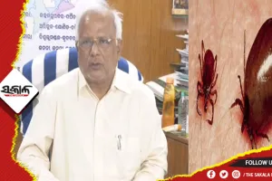 ରାଜ୍ୟରେ ୨ ହଜାରରୁ ଉର୍ଦ୍ଧ୍ବ ଲୋକ ସ୍କ୍ରବ୍ ଟାଇଫସ୍‌ରେ ଆକ୍ରାନ୍ତ: ଜନସ୍ୱାସ୍ଥ୍ୟ ନିର୍ଦ୍ଦେଶକ