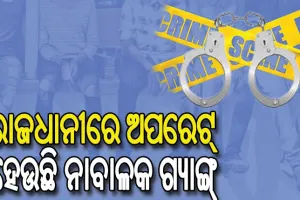 ମାଷ୍ଟର୍‌‌ମାଇଣ୍ଡଙ୍କ ଯୋଜନାକୁ କାର୍ଯ୍ୟକାରୀ କରୁଛନ୍ତି ନାବାଳକ, ଗଢ଼ୁଛନ୍ତି ଅପରାଧ ଗ୍ୟାଙ୍ଗ୍‌‌