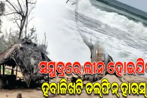 ଜଳବାୟୁ ପରିବର୍ତ୍ତନର କୁ-ପ୍ରଭାବ: ମାଡ଼ି ଆସୁଛି ସମୁଦ୍ର, ବିପଦରେ ଲୁଣା ଜଙ୍ଗଲ