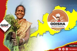 ଆଜିଠାରୁ ଦୁଇଦିନିଆ ମିଲେଟ୍‌‌ ଅନ୍ତର୍ଜାତୀୟ ସମ୍ମିଳନୀ, ଉଦ୍‌‌ଘାଟନ କରିବେ ମୁଖ୍ୟମନ୍ତ୍ରୀ
