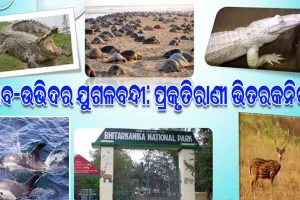 ଜୈବ ବିବିଧତାର ହଟ୍‌ସ୍ପଟ ଭିତରକନିକା: ପର୍ଯ୍ୟଟକଙ୍କୁ ଆକୃଷ୍ଟ କରିବା ସହ ପ୍ରାକୃତିକ ଭାରସାମ୍ୟ ରକ୍ଷା କରିବାରେ ପ୍ରମୁଖ ଭୂମିକା ଗ୍ରହଣ କରୁଛି