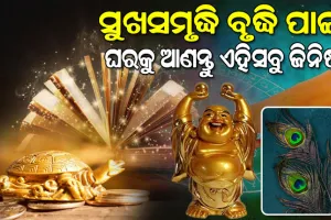 ଶୁଭଫଳ ପ୍ରାପ୍ତି ନିମନ୍ତେ ଘରକୁ ଆଣନ୍ତୁ ଏହିସବୁ ଜିନିଷ…