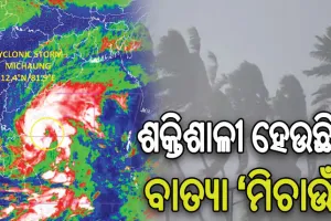 ଶକ୍ତିଶାଳୀ ହେଉଛି ବାତ୍ୟା ‘ମିଚାଉଁ’: ଆଜିଠାରୁ ଦକ୍ଷିଣ ଓଡ଼ିଶାରେ ଝଡ଼ବର୍ଷା, ୫ରେ ରାଜ୍ୟରେ ପଡ଼ିବ ସର୍ବାଧିକ ପ୍ରଭାବ