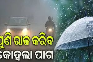 ରାଜ୍ୟରେ ଆସନ୍ତାକାଲିଠୁ ବିଭିନ୍ନ ସ୍ଥାନରେ ହାଲୁକା ବର୍ଷା ସହ କୁହୁଡ଼ି ସମ୍ଭାବନା