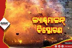 ସର୍ଚ୍ଚ ଅପରେସନବେଳେ ନଳୀକୁମ୍ପା ଜଙ୍ଗଲରେ ଲାଣ୍ଡମାଇନ ବିସ୍ଫୋରଣ, ଏକାଧିକ ଏସଓଜି ଯବାନ ଆହତ