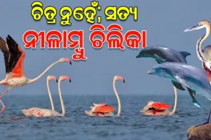 ପ୍ରାକୃତିକ ସୌନ୍ଦର୍ଯ୍ୟର ଗନ୍ତାଘର ତଥା ବୈଚିତ୍ରମୟ ଜୈବ ବିବିଧତାର ବିରଳ ଭଣ୍ଡାର ମରାଳମାଳିନୀ ନୀଳାମ୍ବୁ ଚିଲିକା
